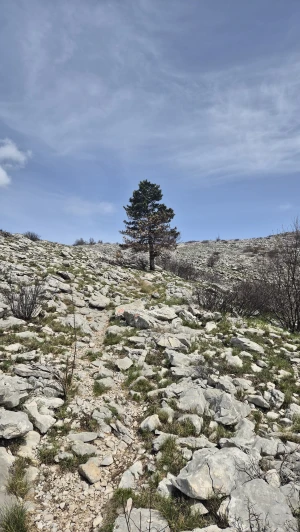 Pobijediti sebe na Dinari