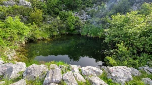 On je već bio na vrhu