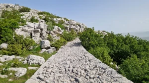 On je već bio na vrhu