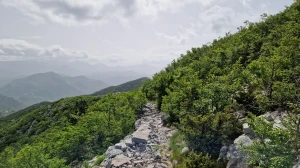 On je već bio na vrhu