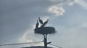 Dok nas kiša nije potjerala