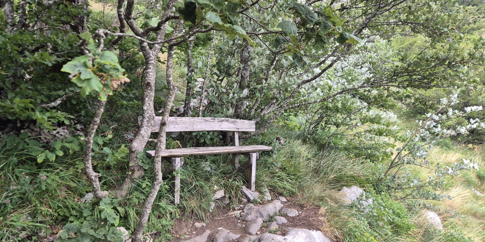 Klupica podno Kleka