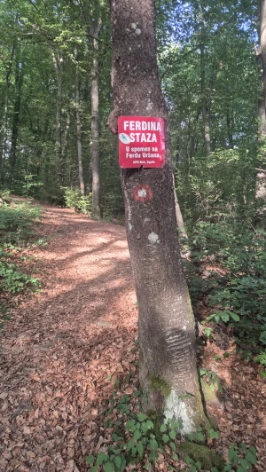 Parkiraj metlu, uzmi krunicu