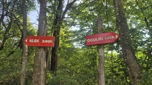 Parkiraj metlu, uzmi krunicu
