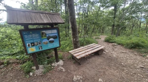 Parkiraj metlu, uzmi krunicu