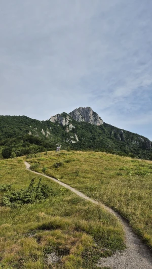 Parkiraj metlu, uzmi krunicu