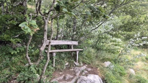 Parkiraj metlu, uzmi krunicu