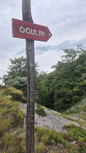Parkiraj metlu, uzmi krunicu