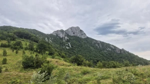 Parkiraj metlu, uzmi krunicu