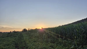 Jutro koje vraća mir