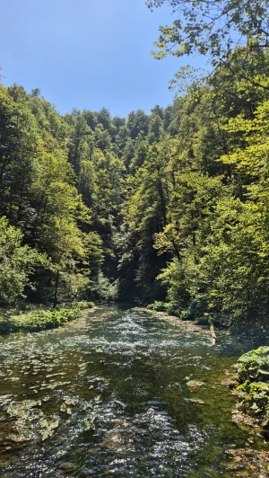 Korak po korak, zajedno