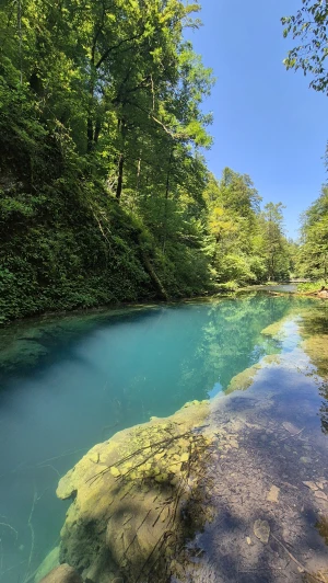 Korak po korak, zajedno