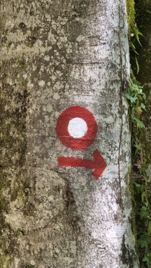 Korak po korak, zajedno