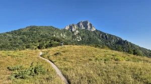 Zablistaj tu gdje jesi