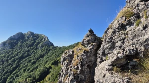 Zablistaj tu gdje jesi